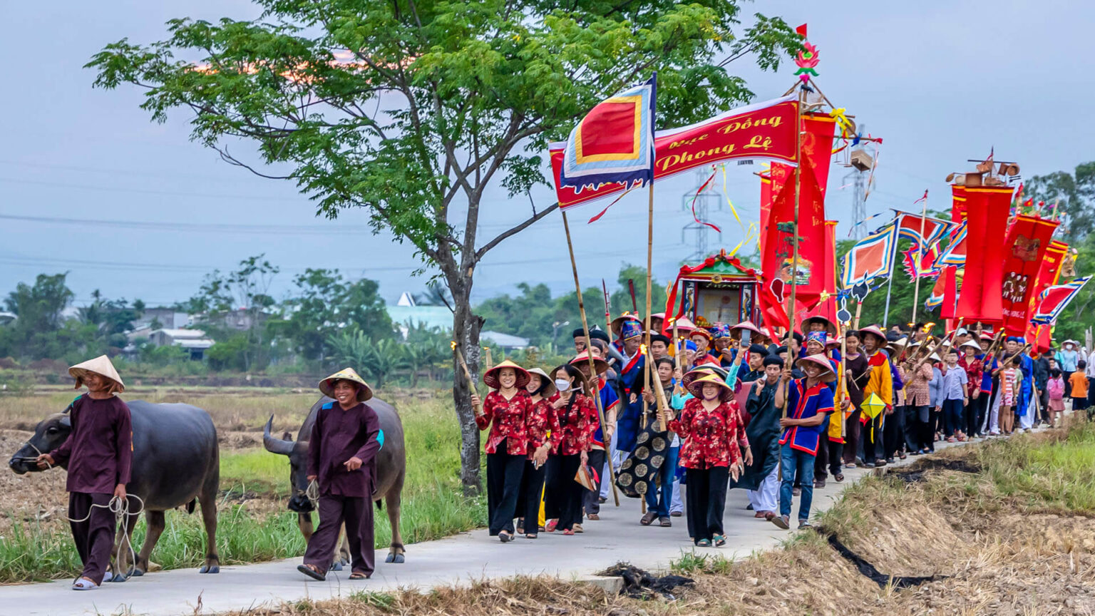 Lễ hội Mục đồng làng Phong Lệ 2026 – Chạm vào nhịp sống làng quê giữa lòng Đà Nẵng